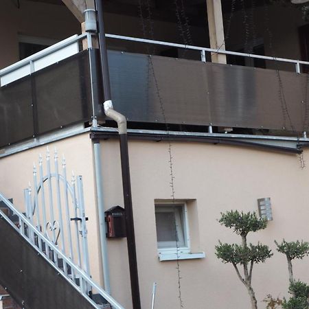 Apartman Kotva 帕廷斯 外观 照片